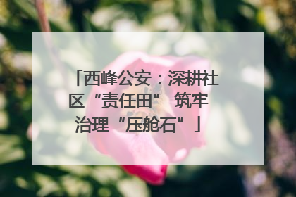 西峰公安：深耕社区“责任田” 筑牢治理“压舱石”
