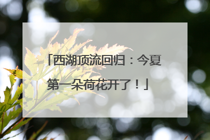 西湖顶流回归：今夏第一朵荷花开了！