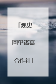 观史｜回望诸葛合作社