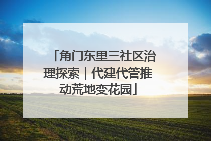 角门东里三社区治理探索｜代建代管推动荒地变花园