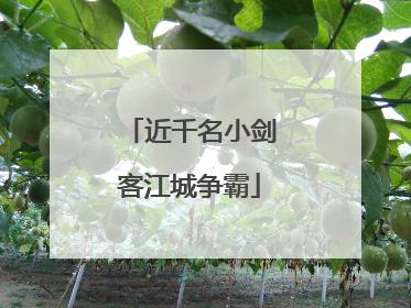 近千名小剑客江城争霸