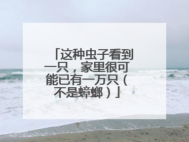 这种虫子看到一只，家里很可能已有一万只（不是蟑螂）