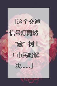 这个交通信号灯竟然“藏”树上！市民盼解决……