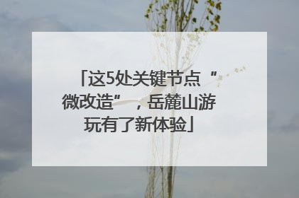 这5处关键节点“微改造”，岳麓山游玩有了新体验