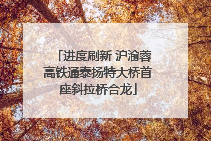 进度刷新 沪渝蓉高铁通泰扬特大桥首座斜拉桥合龙