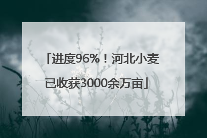 进度96%！河北小麦已收获3000余万亩