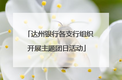 达州银行各支行组织开展主题团日活动