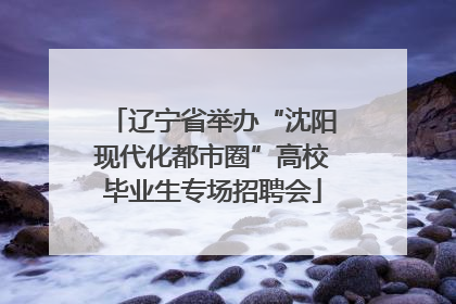 辽宁省举办“沈阳现代化都市圈”高校毕业生专场招聘会