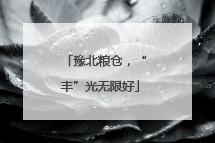 豫北粮仓，“丰”光无限好