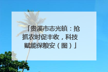 贵溪市志光镇：抢抓农时促丰收，科技赋能保粮安（图）