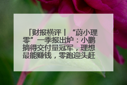 财报横评丨“蔚小理零”一季报出炉：小鹏摘得交付量冠军，理想最能赚钱，零跑迎头赶上，蔚来还在调整