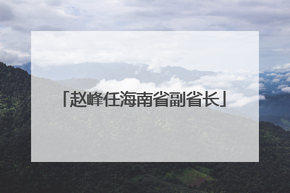 赵峰任海南省副省长