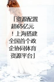 资源配置超65亿元！上海搭建全国首个政企协同体育资源平台