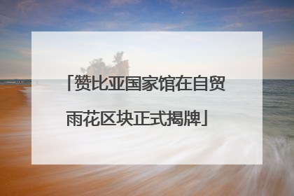 赞比亚国家馆在自贸雨花区块正式揭牌