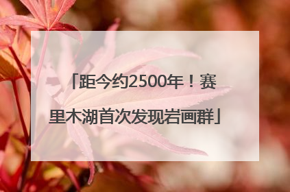 距今约2500年！赛里木湖首次发现岩画群