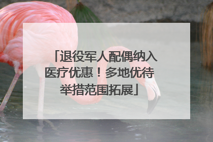退役军人配偶纳入医疗优惠！多地优待举措范围拓展