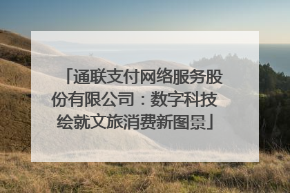 通联支付网络服务股份有限公司：数字科技绘就文旅消费新图景