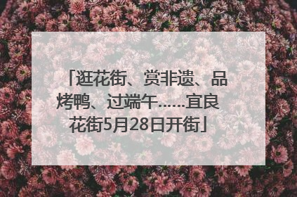 逛花街、赏非遗、品烤鸭、过端午……宜良花街5月28日开街