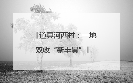 道真河西村：一地双收“新丰景”