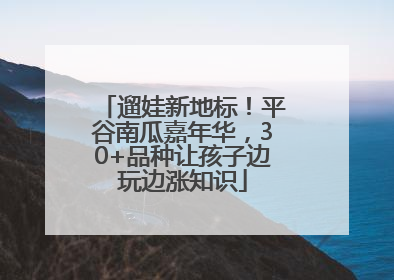 遛娃新地标！平谷南瓜嘉年华，30+品种让孩子边玩边涨知识
