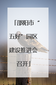 邵阳市“五好”园区建设推进会召开