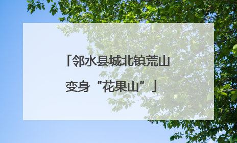 邻水县城北镇荒山变身“花果山”