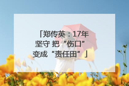 郑传英：17年坚守 把“伤口”变成“责任田”