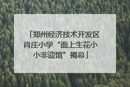 郑州经济技术开发区肖庄小学“面上生花小小非遗馆”揭幕