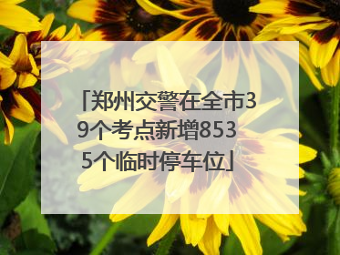 郑州交警在全市39个考点新增8535个临时停车位