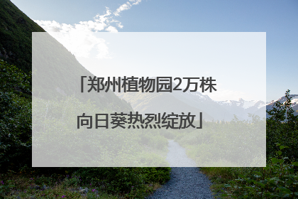 郑州植物园2万株向日葵热烈绽放