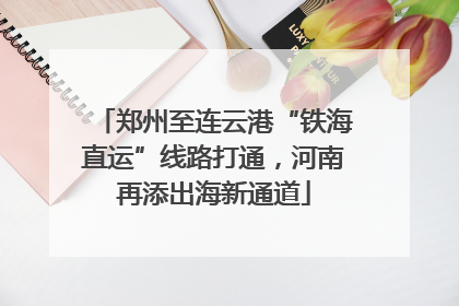 郑州至连云港“铁海直运”线路打通，河南再添出海新通道