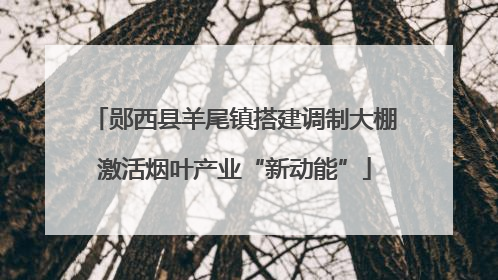 郧西县羊尾镇搭建调制大棚激活烟叶产业“新动能”