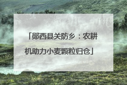 郧西县关防乡：农耕机助力小麦颗粒归仓