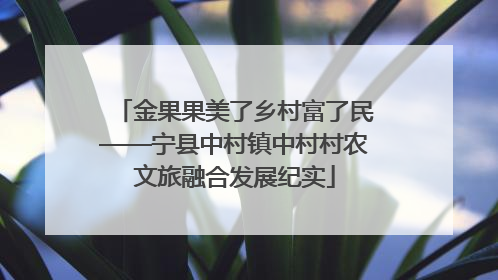 金果果美了乡村富了民——宁县中村镇中村村农文旅融合发展纪实