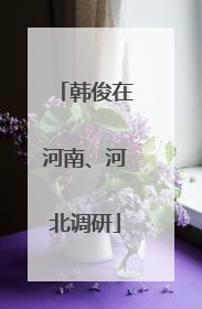 韩俊在河南、河北调研