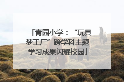 青园小学：“玩具梦工厂”跨学科主题学习成果闪耀校园