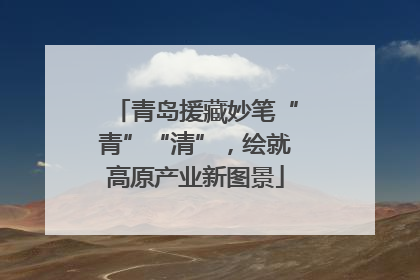 青岛援藏妙笔“青”“清”，绘就高原产业新图景