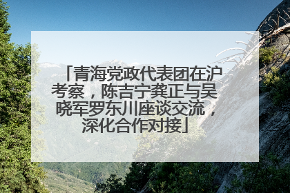 青海党政代表团在沪考察，陈吉宁龚正与吴晓军罗东川座谈交流，深化合作对接