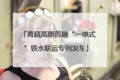 青藏高原首趟“一单式”铁水联运专列发车