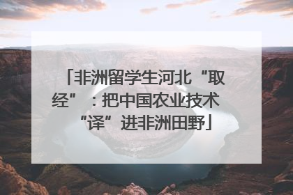 非洲留学生河北“取经”：把中国农业技术“译”进非洲田野