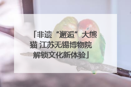 非遗“邂逅”大熊猫 江苏无锡博物院解锁文化新体验