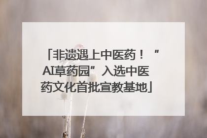 非遗遇上中医药！“AI草药园”入选中医药文化首批宣教基地