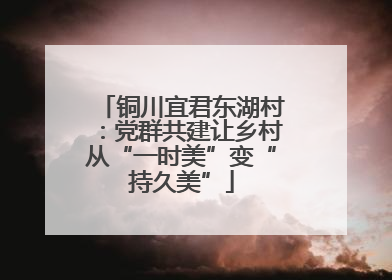 铜川宜君东湖村：党群共建让乡村从“一时美”变“持久美”