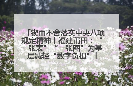 锲而不舍落实中央八项规定精神丨福建莆田：“一张表”“一张图”为基层减轻“数字负担”