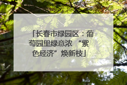 长春市绿园区：葡萄园里绿意浓 “紫色经济”焕新枝