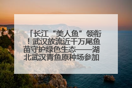 长江“美人鱼”领衔！武汉放流近千万尾鱼苗守护绿色生态——湖北武汉青鱼原种场参加2025年“全国放鱼日”增殖放流活动