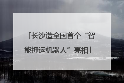 长沙造全国首个“智能押运机器人”亮相