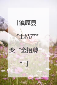 镇原县 “土特产”变“金招牌”