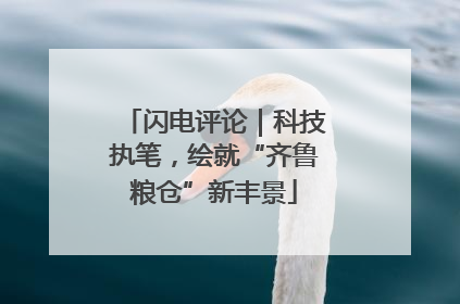闪电评论｜科技执笔，绘就“齐鲁粮仓”新丰景