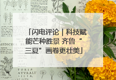 闪电评论｜科技赋能芒种胜景 齐鲁“三夏”画卷更壮美